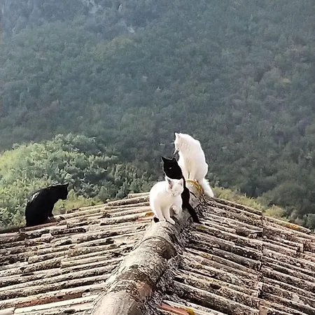 Abitazione Con Vista Panoramica